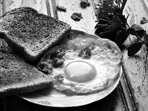 plate, toast, Scrambled Eggs