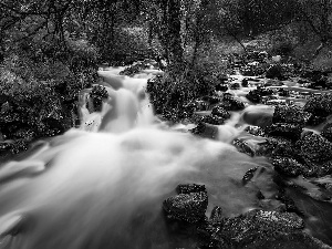 mountainous, Stones, scrub, stream