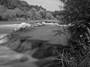 River, forest, scrub, waterfall