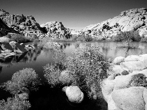 scrub, lake, rocks