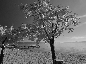 trees, Beaches, sea, autumn, viewes, pier