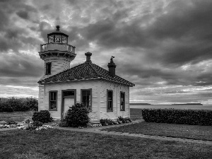 sea, clouds, maritime, Flowers, Lighthouse