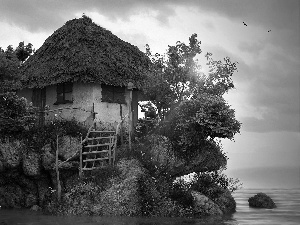 Cottage, The islet, sea, an