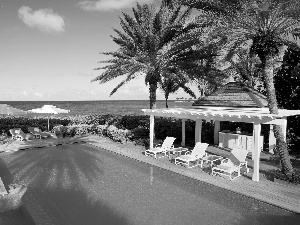 sea, holiday, deck chair, Palms, Pool