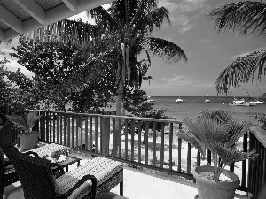 Hotel hall, Palms, sea, terrace