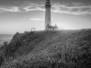 Lighthouse, Meadow, sea, maritime