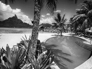 sea, Houses, Palms, Bora Bora, Pool, Mountains