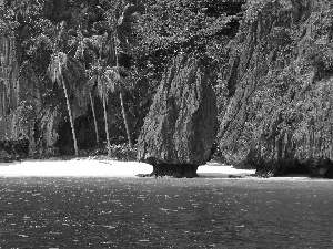 sea, rocks, Palms