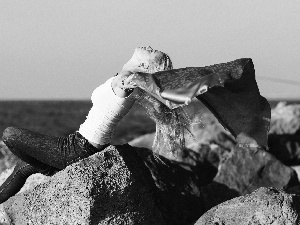 sea, Blonde, rocks