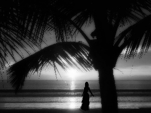 sea, Women, sun, Palm, west