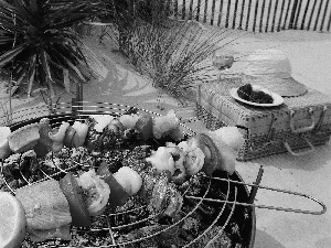 Skewers, case, seafood, Grill