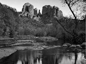 River, Red, Sedona, Arizona, forest, rocks