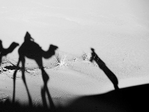 shadows, Desert, Sand