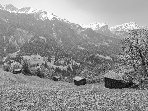 Mountains, Meadow, Sheds, Spring, woods, Flowers