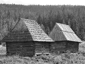 Zakopane, Sheepfarm