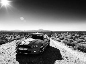 Desert, Ford Mustang, Shelby