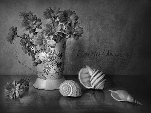 composition, Vase, Shells, daisy