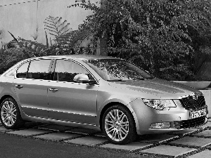 Toyota Silver, right, side, Skoda Superb