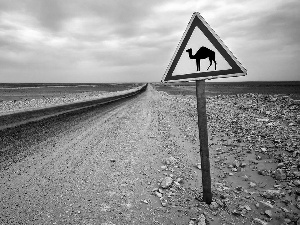 Sign, Way, Desert