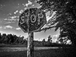 Sign, forest, Way