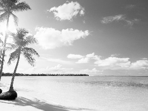 Beaches, blue, Sky, sea