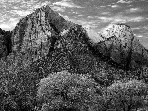 canyon, viewes, Sky, trees