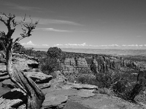 canyons, viewes, Sky, trees