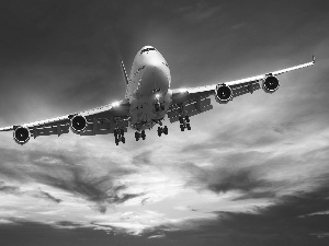 Sky, plane, clouds