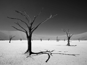 Desert, Sky
