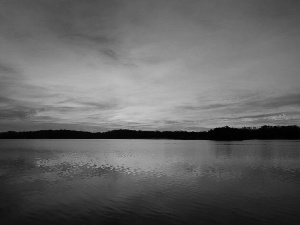 Sky, lake, forest