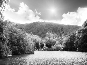 Sky, water, forest