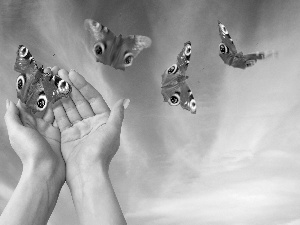 butterflies, hands, Sky, Peacock