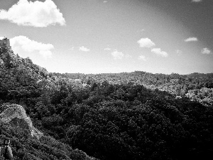 The Hills, Castle, Sky, forest