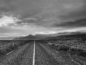 Field, Flowers, iceland, lupins, Reykjavik, Mountains, Way, Sky