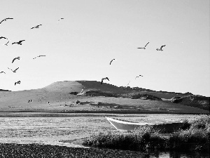 lake, gulls, Sky, Boat