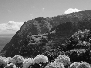 Flowers, sea, Sky, The Hills