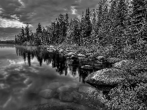 Sky, Pond - car, viewes, Stones, trees, Clouds