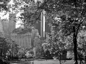 skyscrapers, clouds, Central, Park, autumn