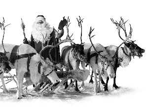 sleigh, Santa, reindeer