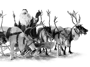 sleigh, Santa, reindeer