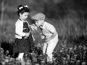 small bunch, summer, Meadow, Flowers, Kids