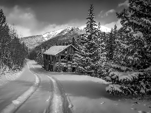 A snow-covered, Way, Mountains, forest, winter