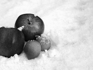snow, apples, Amaranth