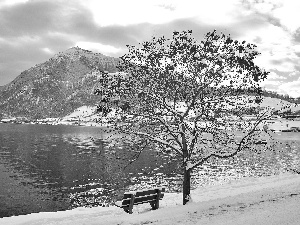 snow, trees, Bench