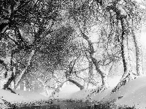 snow, Fog, viewes, River, trees