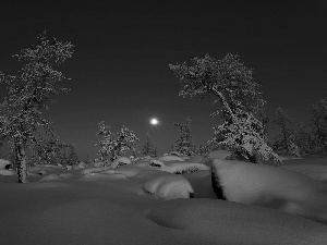 moon, viewes, snow, trees