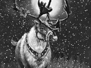 snow, festive, reindeer