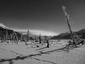 snow, star, trees, viewes, Mountains