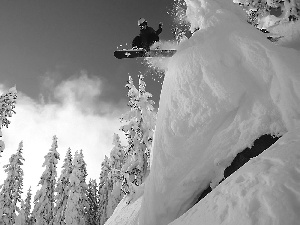 snow, viewes, snowboard, trees