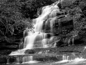 Brisbane Water National Park, New South Wales